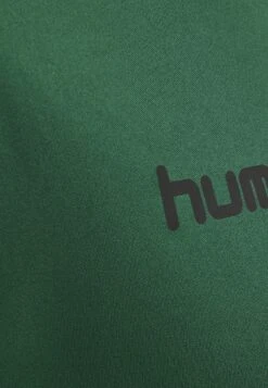 Hummel Duo SetPantaloncini SportiviEvergreen/Black Uomo Bermuda HU342K008-M12 -Negozio Di Abbigliamento Zalando 7e2d09e55b484008aac00e5979bde44f