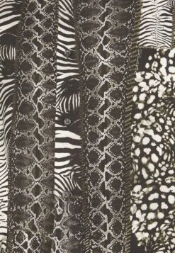 JUST CAVALLI CamicieCamiciaBlack Uomo Camicie JU622D07R-Q11 13 JUST CAVALLI CamicieCamiciaBlack Uomo Camicie JU622D07R-Q11 -Negozio Di Abbigliamento Zalando ca686efc9c164c79a8d4afc20bfb02b6